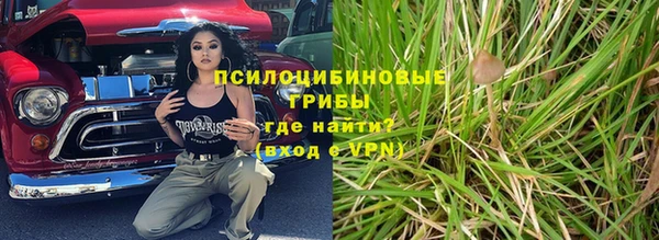 соль ск Медвежьегорск