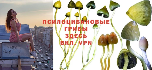 дурь Медногорск