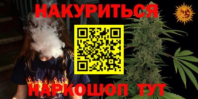 a pvp Камышлов
