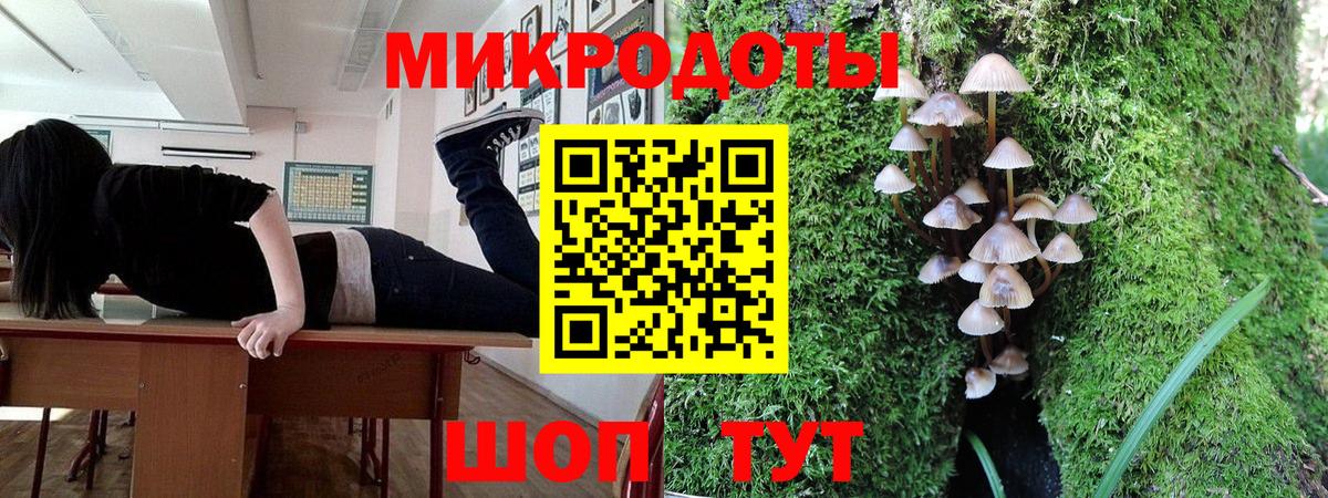 Галлюциногенные грибы Magic Shrooms Сальск